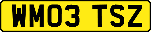 WM03TSZ