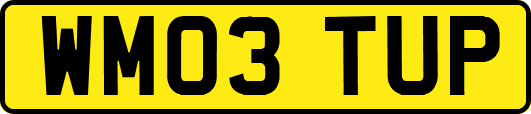 WM03TUP