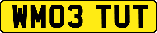 WM03TUT