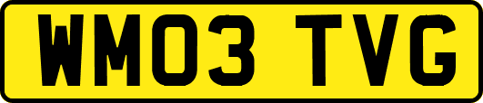 WM03TVG