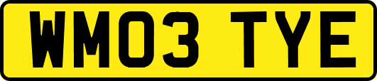 WM03TYE