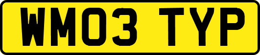 WM03TYP