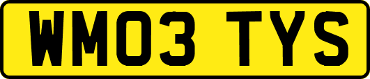 WM03TYS