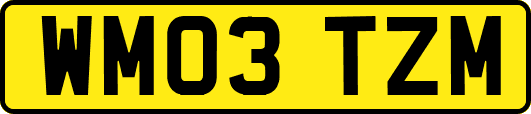 WM03TZM