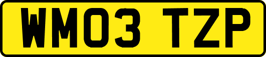 WM03TZP