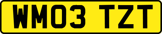 WM03TZT