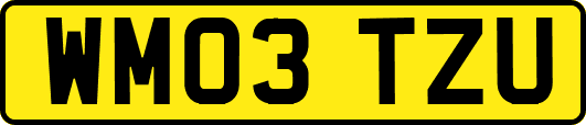 WM03TZU