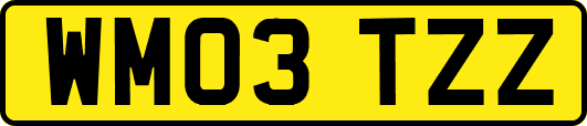WM03TZZ