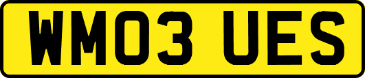 WM03UES