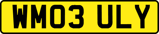 WM03ULY