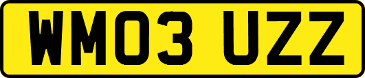 WM03UZZ