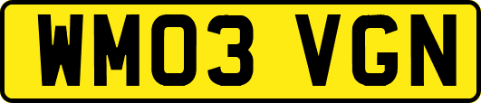 WM03VGN