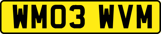 WM03WVM