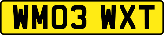 WM03WXT