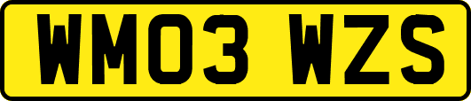 WM03WZS