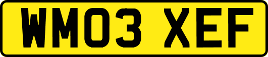 WM03XEF