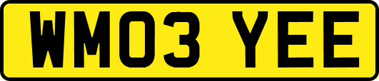 WM03YEE