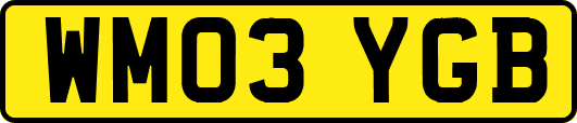 WM03YGB