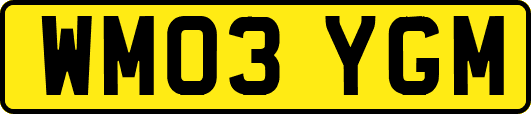 WM03YGM