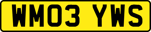 WM03YWS