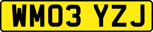 WM03YZJ