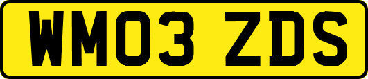 WM03ZDS