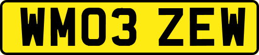 WM03ZEW
