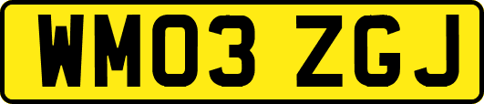 WM03ZGJ