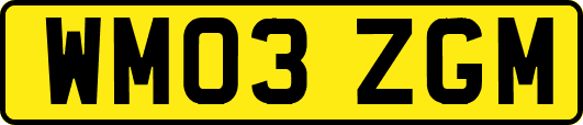 WM03ZGM