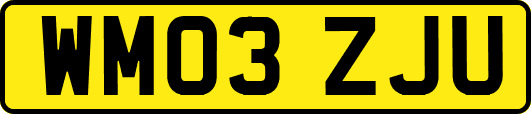 WM03ZJU