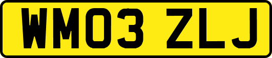 WM03ZLJ