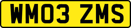 WM03ZMS