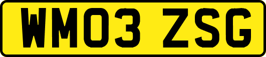 WM03ZSG