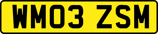 WM03ZSM