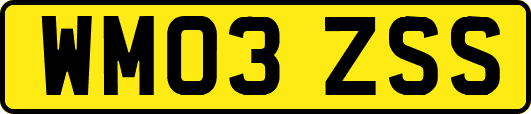 WM03ZSS