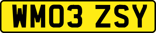 WM03ZSY