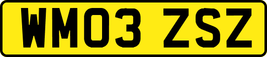 WM03ZSZ