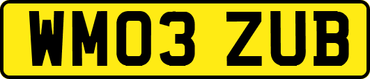 WM03ZUB
