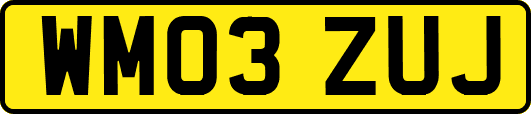 WM03ZUJ