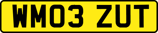 WM03ZUT