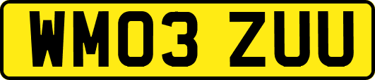 WM03ZUU