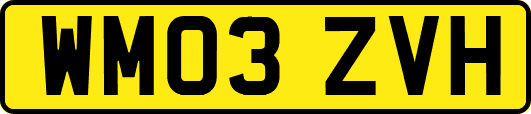 WM03ZVH
