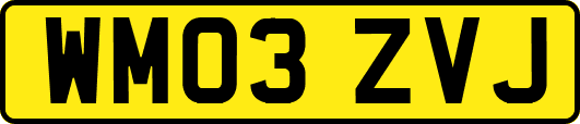 WM03ZVJ