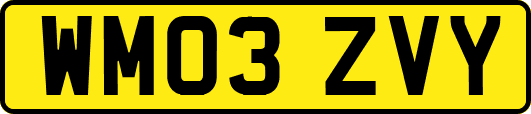 WM03ZVY