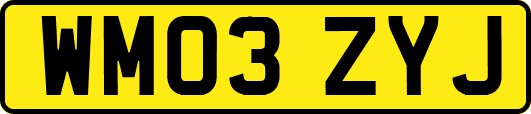 WM03ZYJ