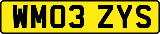 WM03ZYS