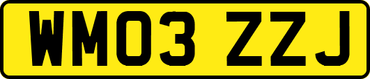 WM03ZZJ