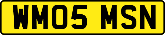WM05MSN