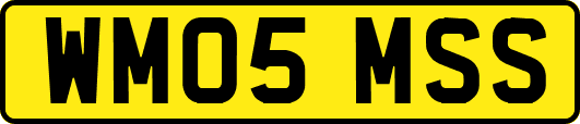WM05MSS