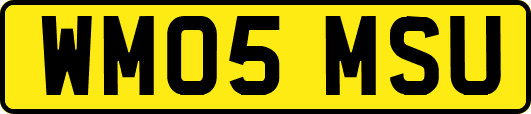 WM05MSU